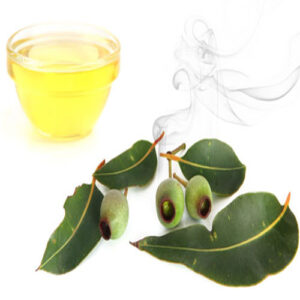 Blue Gum Smoke Oil – Australian Native Wood-Infused Cooking Oil
