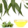 Gumleaf Oil – Aromatic Australian Native Infused Oil
