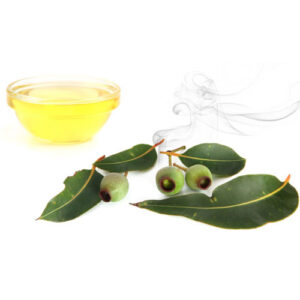 150ml bottle of Bluegum Smoke Oil infused with native Australian bluegum eucalyptus smoke