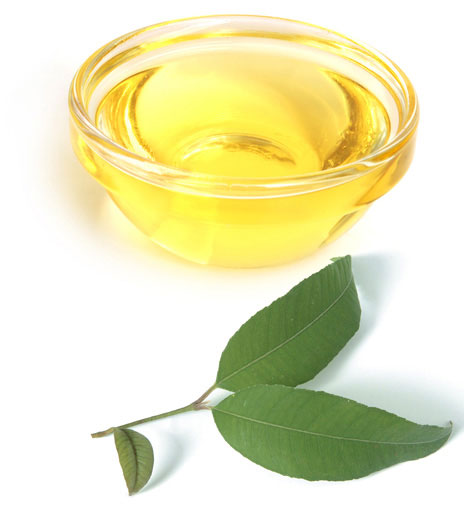 Lemon Myrtle Oil – Fragrant Australian Native Infused Oil